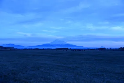 DSC_0962 (Large).JPG